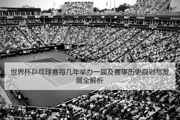 世界杯乒乓球赛每几年举办一届及赛事历史规则与发展全解析