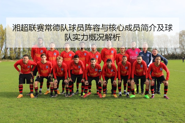 湘超联赛常德队球员阵容与核心成员简介及球队实力概况解析