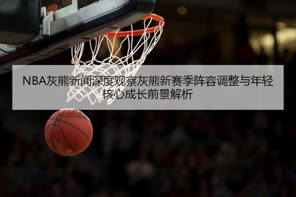 NBA灰熊新闻深度观察灰熊新赛季阵容调整与年轻核心成长前景解析