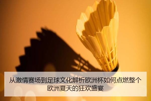从激情赛场到足球文化解析欧洲杯如何点燃整个欧洲夏天的狂欢盛宴